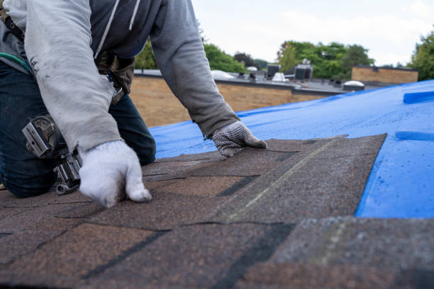Best Gutter Installation and Roofing  in Bronson, MI