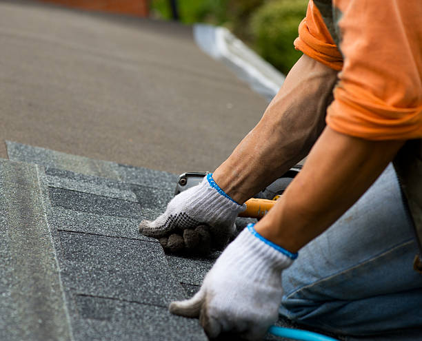 Best Roof Repair Services  in Bronson, MI