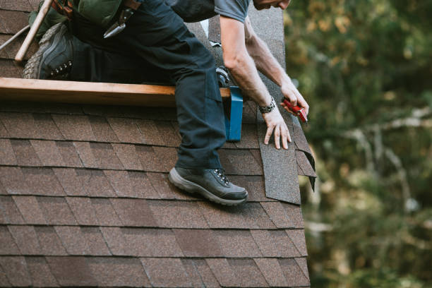 Best Local Roofing Companies  in Bronson, MI